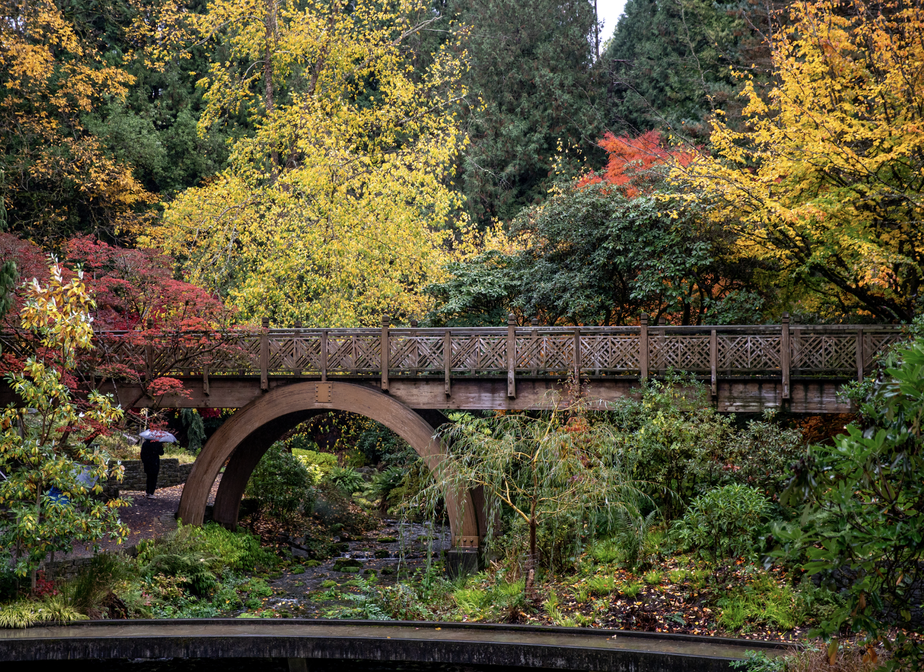 Garden image